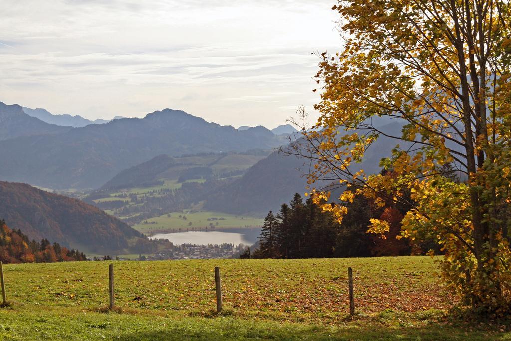 Mountain Inn Chalets & Apartments Walchsee Exterior foto